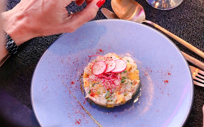 Tartare dish garnished with radish slices on a Paris bus tour.