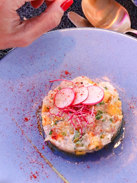 Tartare dish garnished with radish slices on a Paris bus tour.