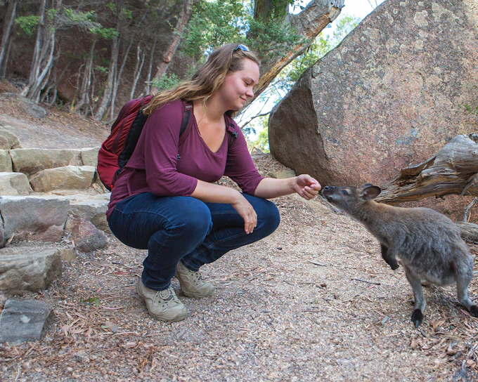 Day Tour from Hobart to Launceston via Wineglass Bay