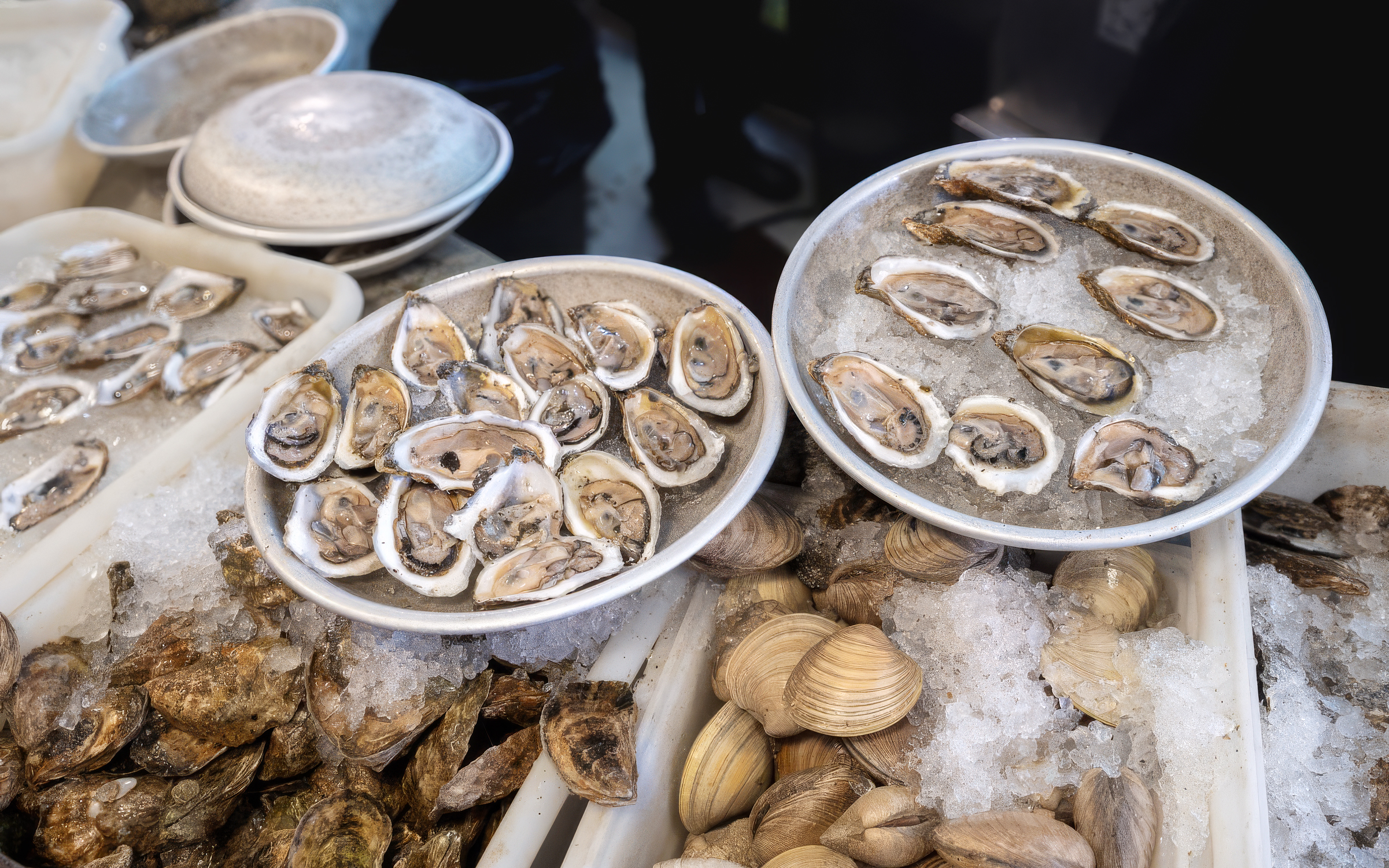 Oysters and clams on ice at a seafood market display.