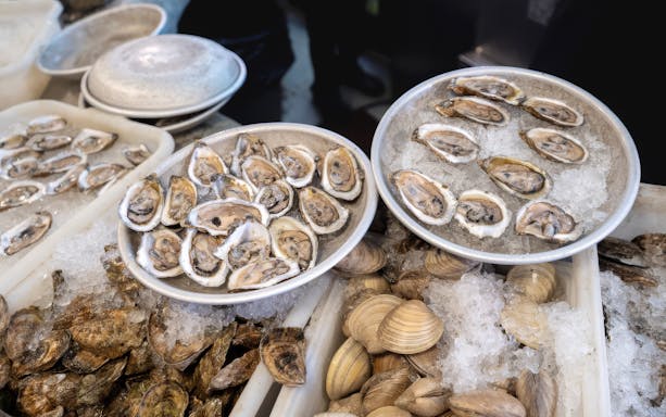 Oysters and clams on ice at a seafood market display.