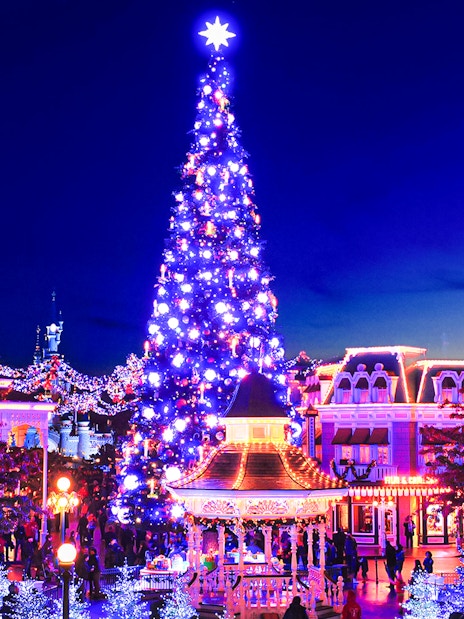 Disneyland Christmas 2025 celebration with illuminated tree and festive decorations.