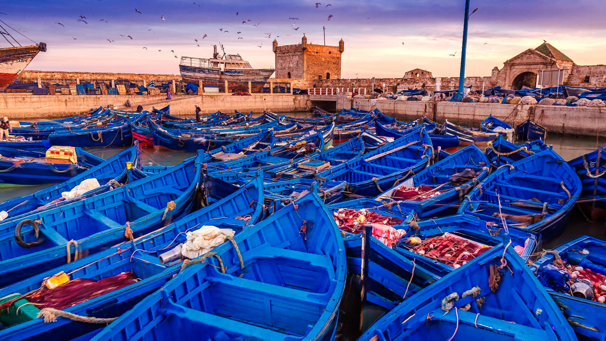 Blue fishing boats in Essaouira harbor with historic fort and seagulls, Morocco.