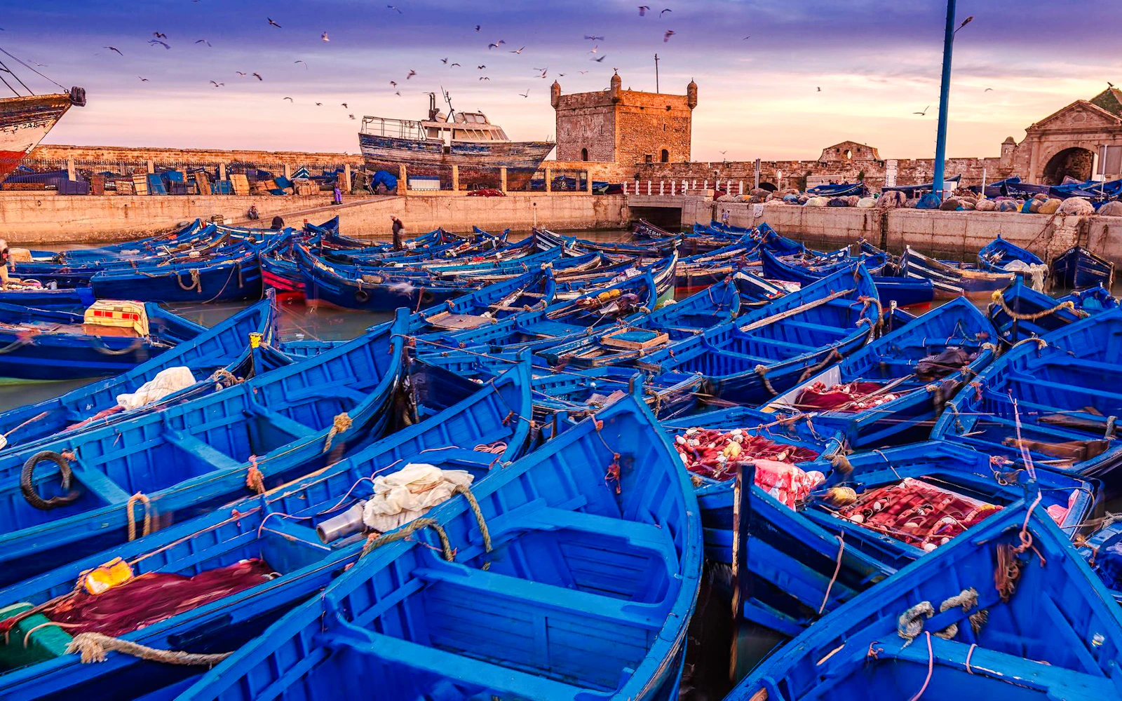 From Marrakesh: Essaouira Private Day Trip (Product 55440)