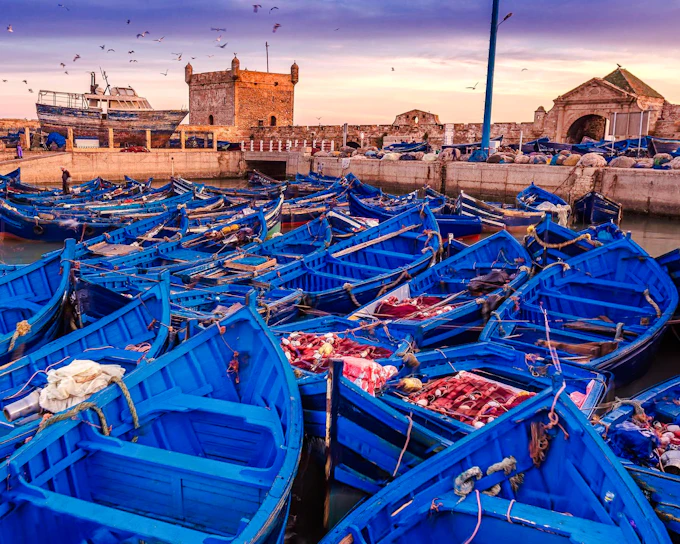 From Marrakesh: Essaouira Private Day Trip (Product 55440)