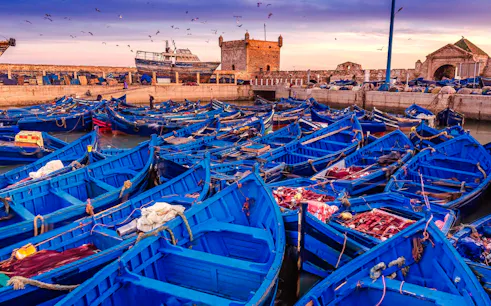 Blue fishing boats in Essaouira harbor with historic fort and seagulls, Morocco.
