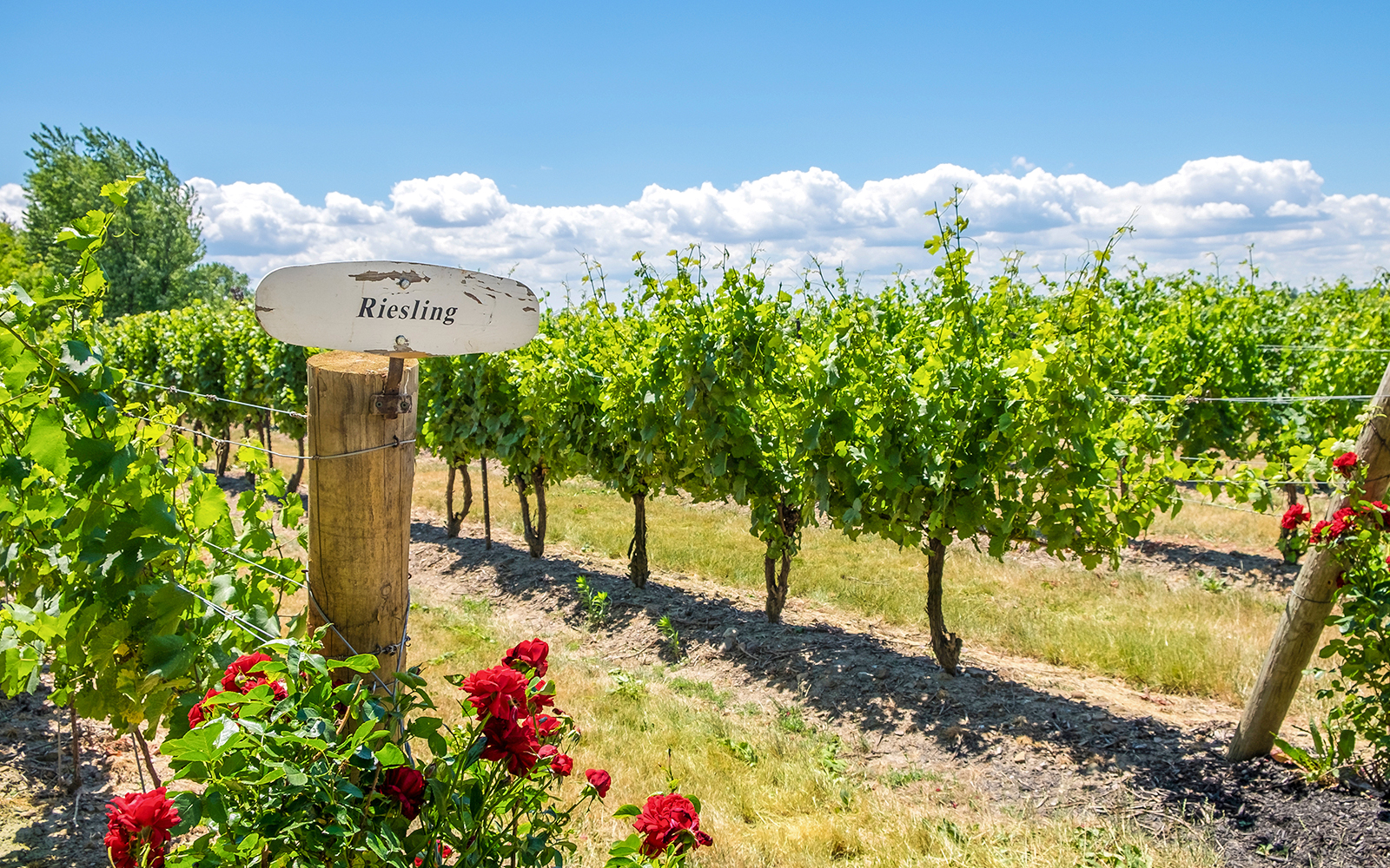 Niagara Falls Travel Guide