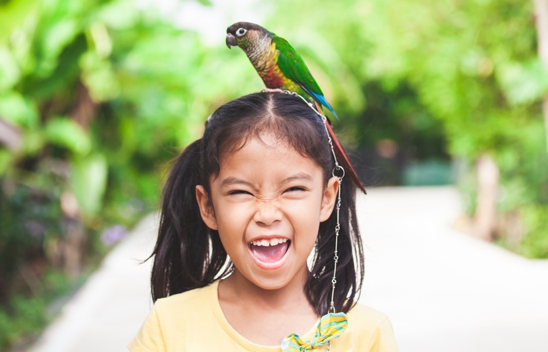 Italia in Miniatura - Pappamondo