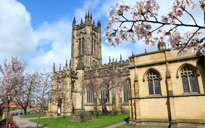 Manchester Cathedral with cherry blossoms in spring, part of the self-guided city exploration game.