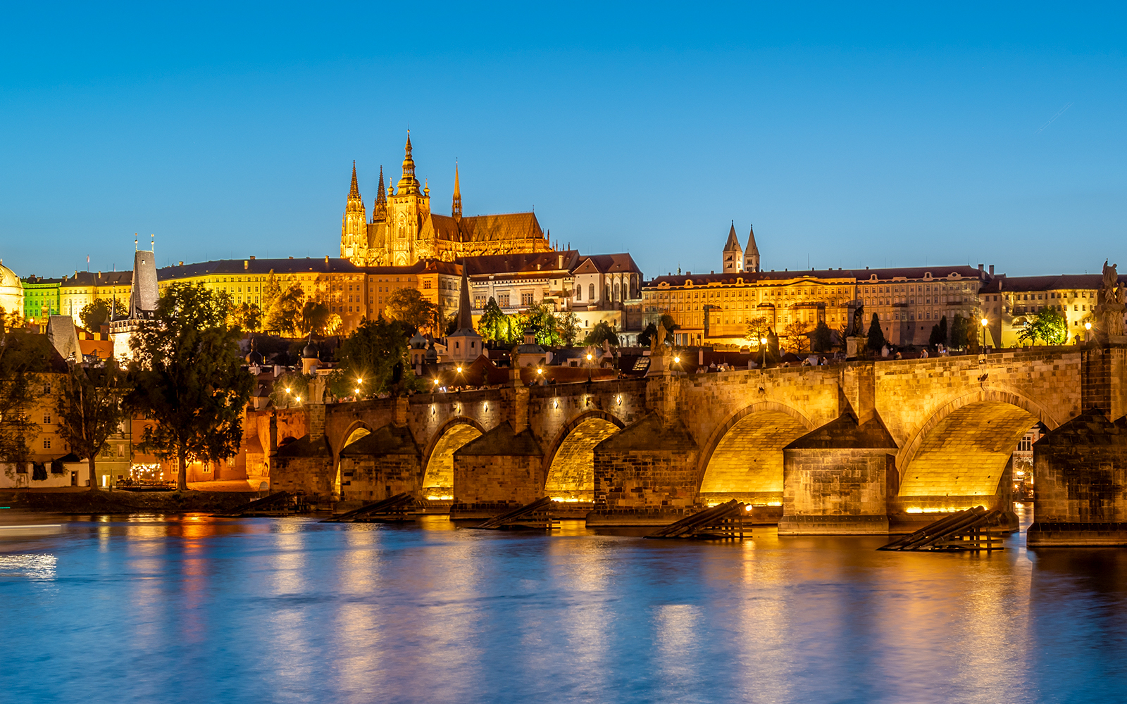 Prague Castle and Charles Bridge illuminated at night during an evening dinner cruise.