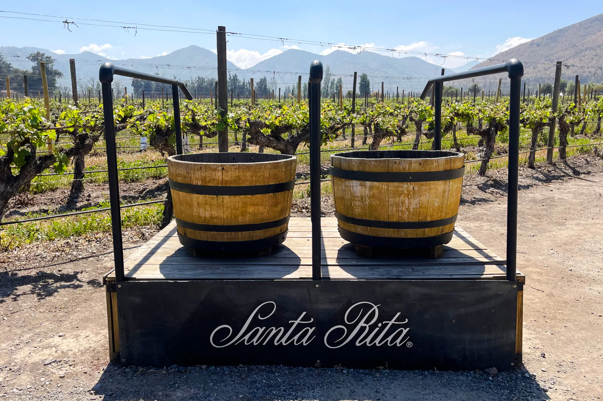 Santa Rita Vineyard barrels with vineyard and mountains in Santiago.