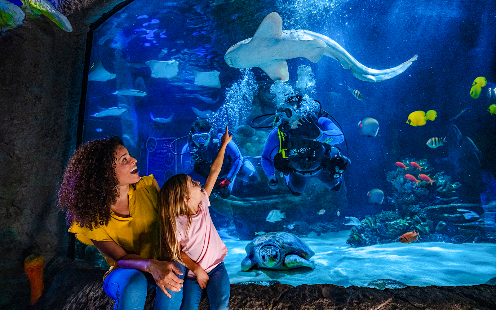 Divers and marine life in the Indian Ocean section at Sea Life Orlando.
