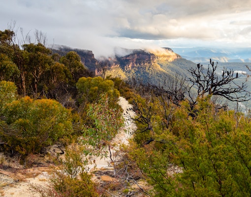 Mount Solitary walking track