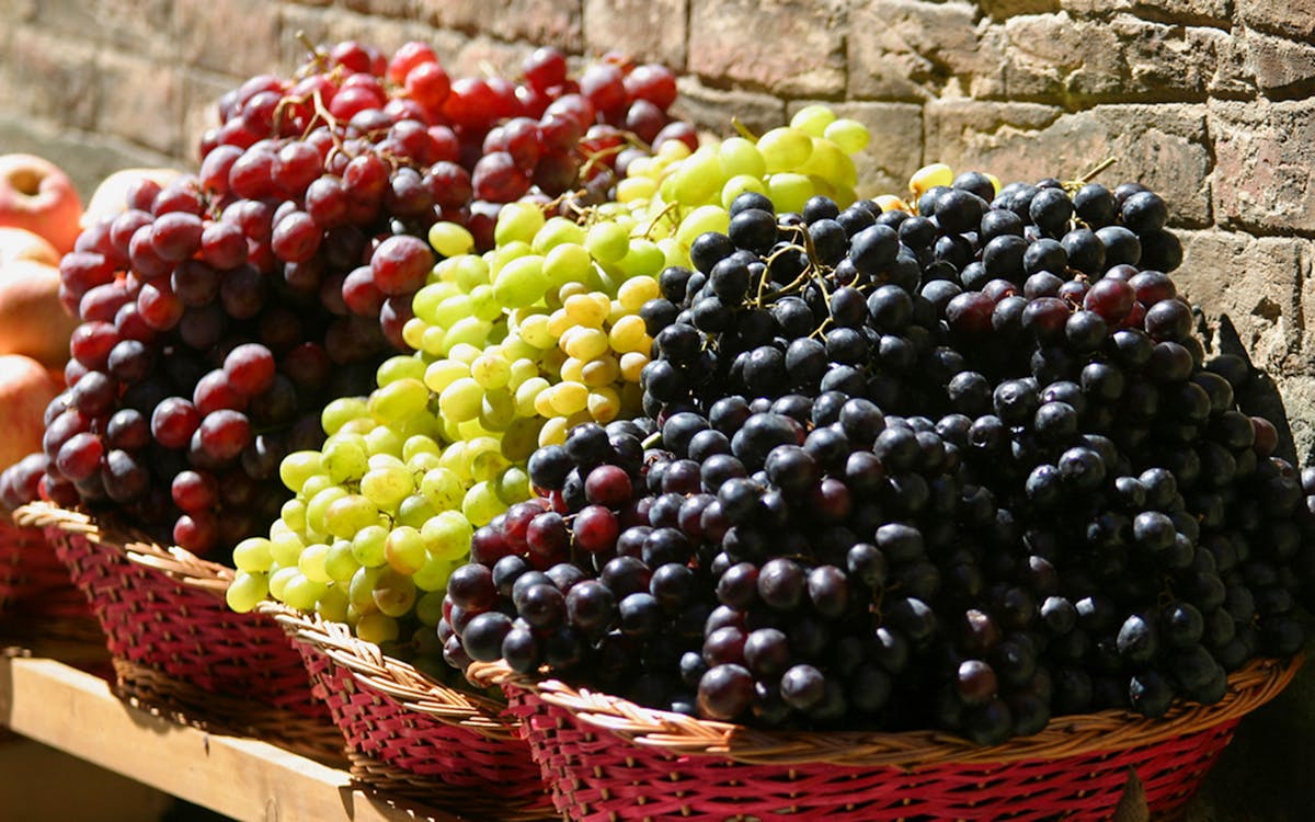 tour de siena, san gimignano, monteriggioni e degustação de vinhos chianti saindo de florença-7 tour de siena, san gimignano, monteriggioni e degustação de vinhos chianti saindo de florença-7