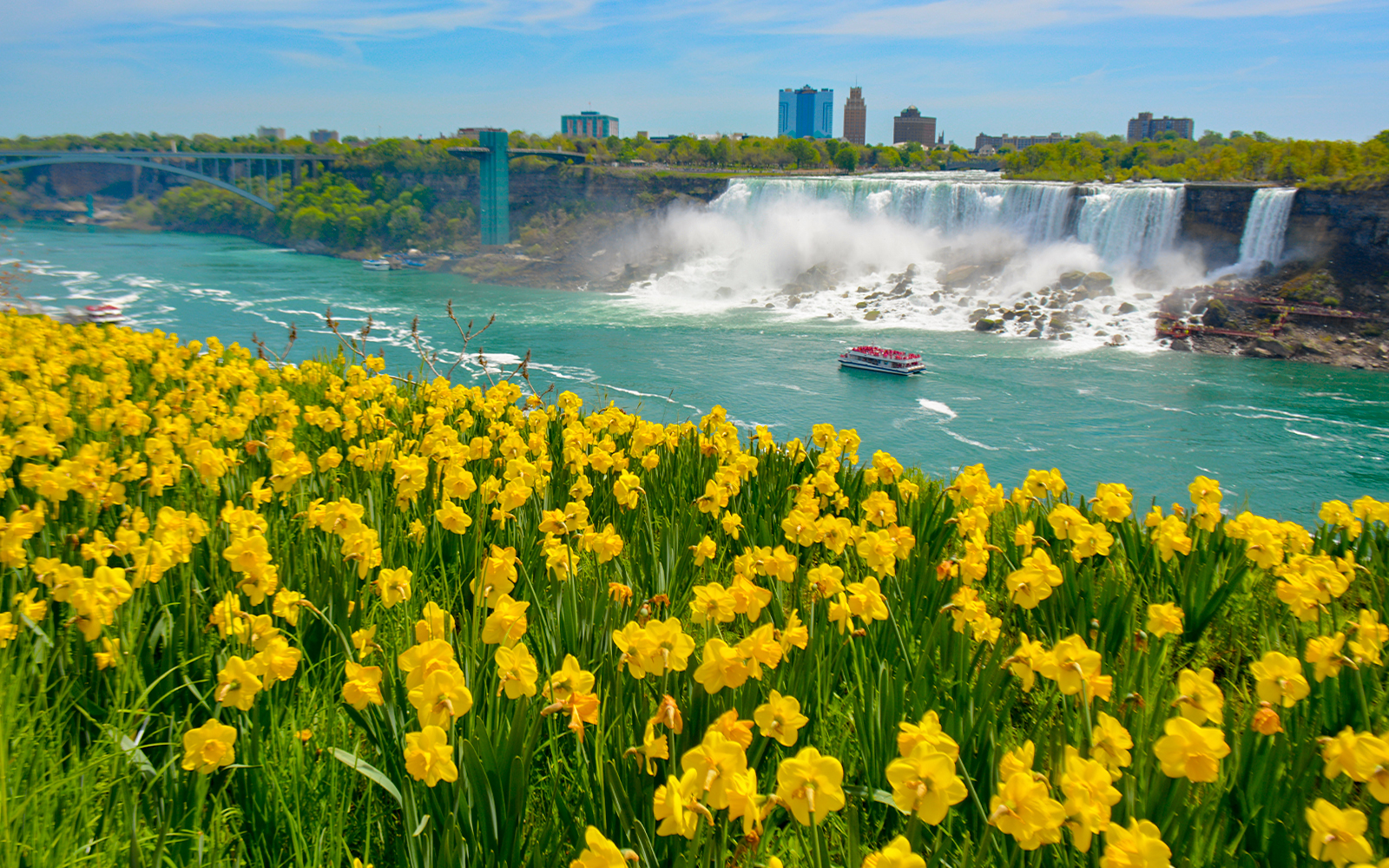 Flowers along the river with Niagara Falls in the background.