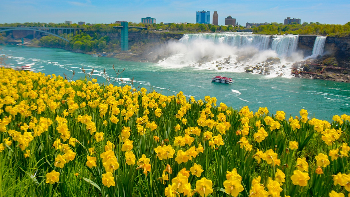 Your Ultimate Guide to Visiting Niagara Falls in July