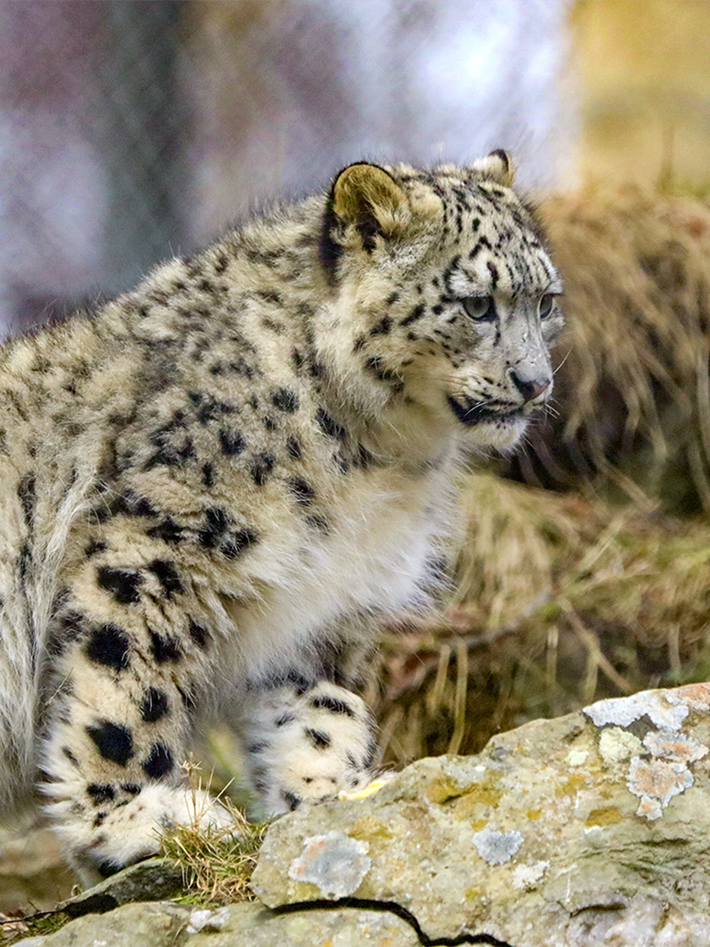 Parco naturale di Highland