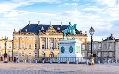 fast-track amalienborg palace museum copenhagen private tour-1