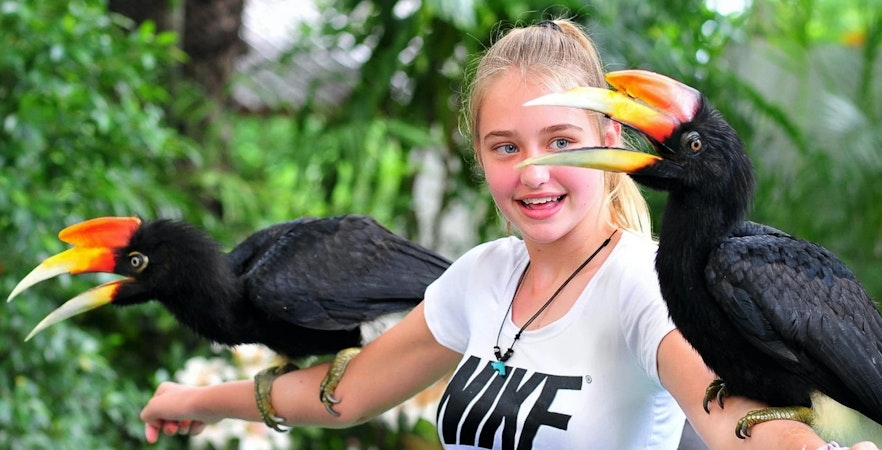 Parque ornitológico de Phuket