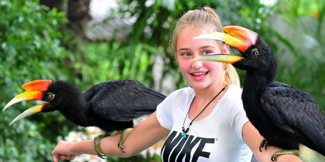 Phuket Bird Park