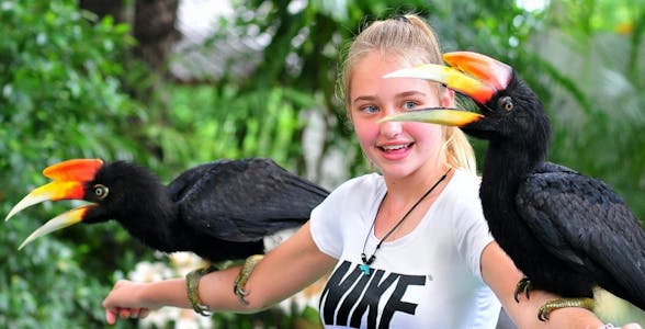 Parco degli uccelli di Phuket