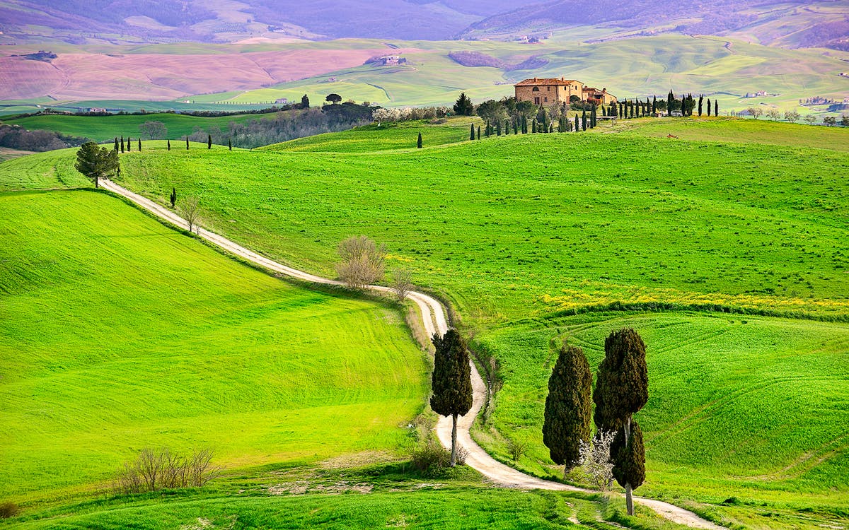 full-day tour of val d’orcia-7 full-day tour of val d’orcia-7