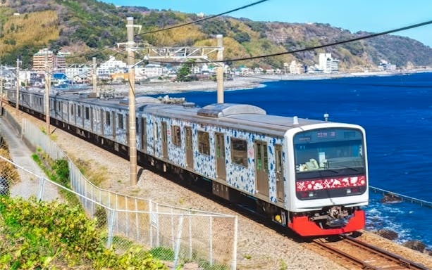 Izukyu 3000 series "Aloha Train" traveling along a coastal railway in Japan.