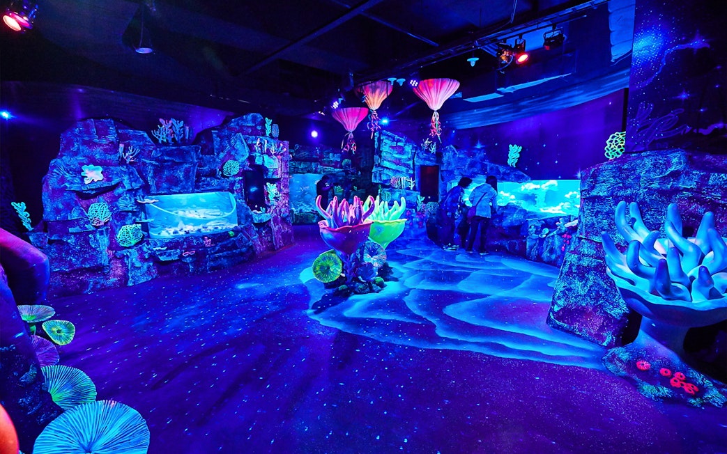 SEA LIFE Busan Aquarium glowing coral displays and visitors exploring exhibits.