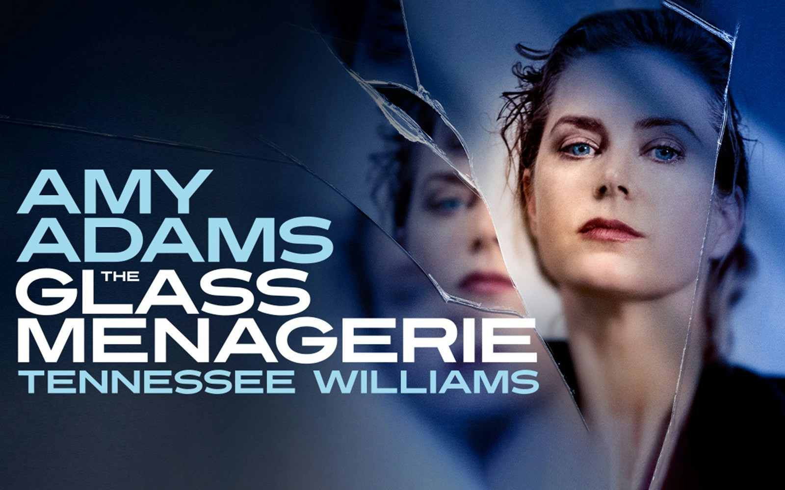 The Glass Menagerie poster with a woman's reflection in broken glass.