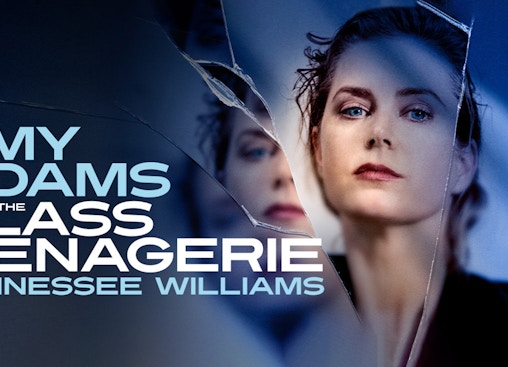 Il serraglio di vetro