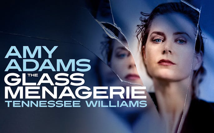 The Glass Menagerie poster with a woman's reflection in broken glass.