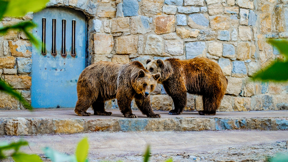 Lisbon Zoo Opening Hours