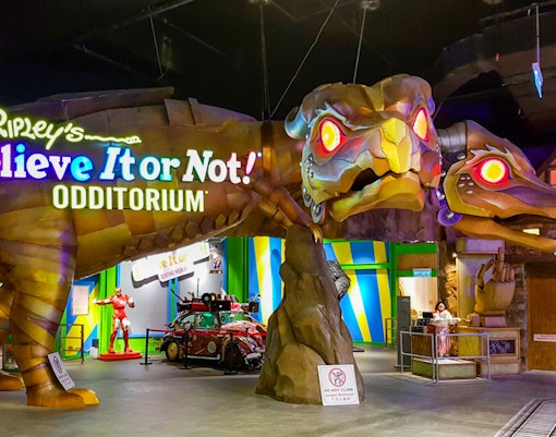 Oddities & curiosities