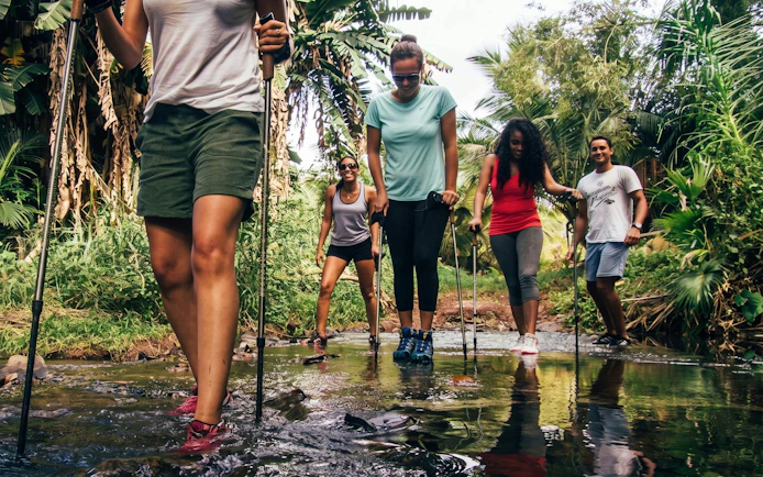 Group hiking through a stream in Bel Ombre wilderness tour.