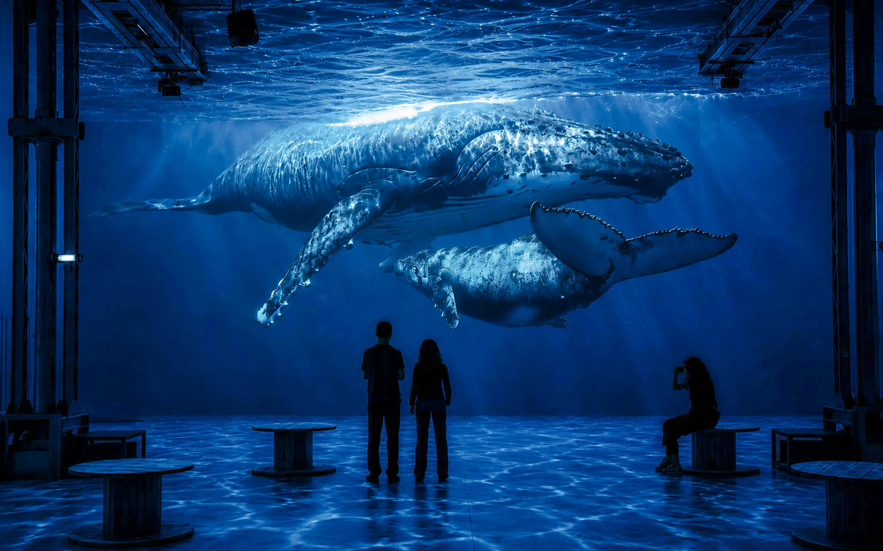 Visitors viewing whale projections at Atelier des Lumières Planète Océan exhibition.