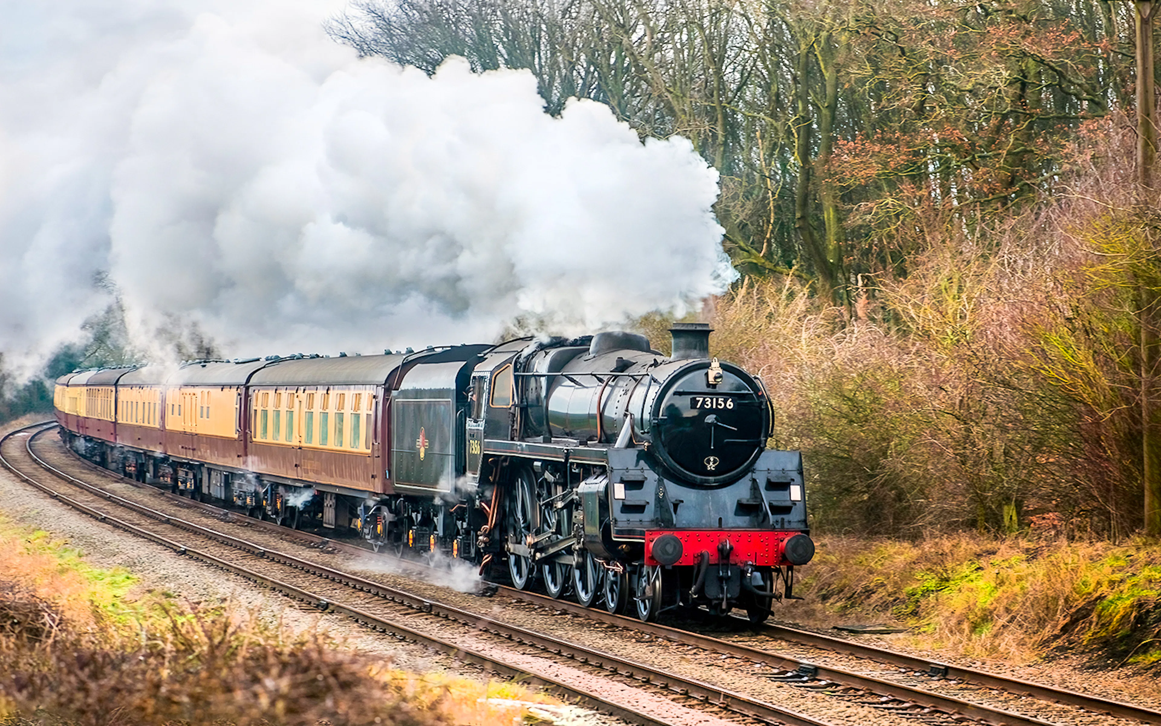 Steam engine on the Great Western Railway, Skunk Train tour through forest.