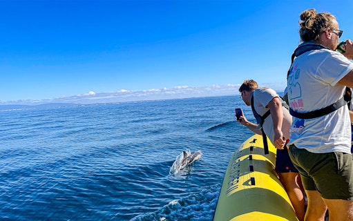 Tourists on a boat watching dolphins near Benagil Caves, Portugal.