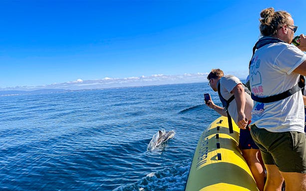Tourists on a boat watching dolphins near Benagil Caves, Portugal.