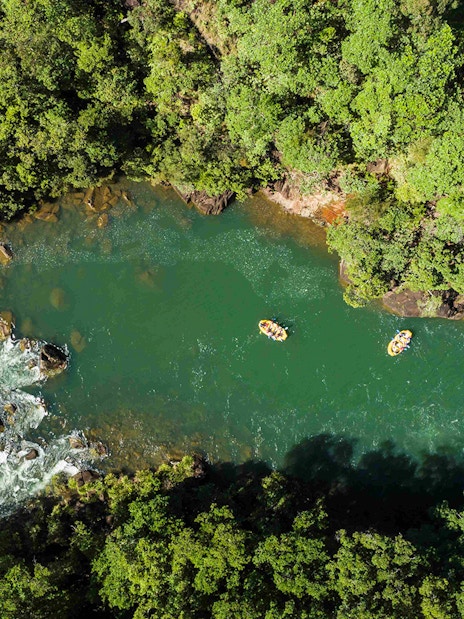 Rafting on Barron River surrounded by lush rainforest, part of the Raging Thunder experience.