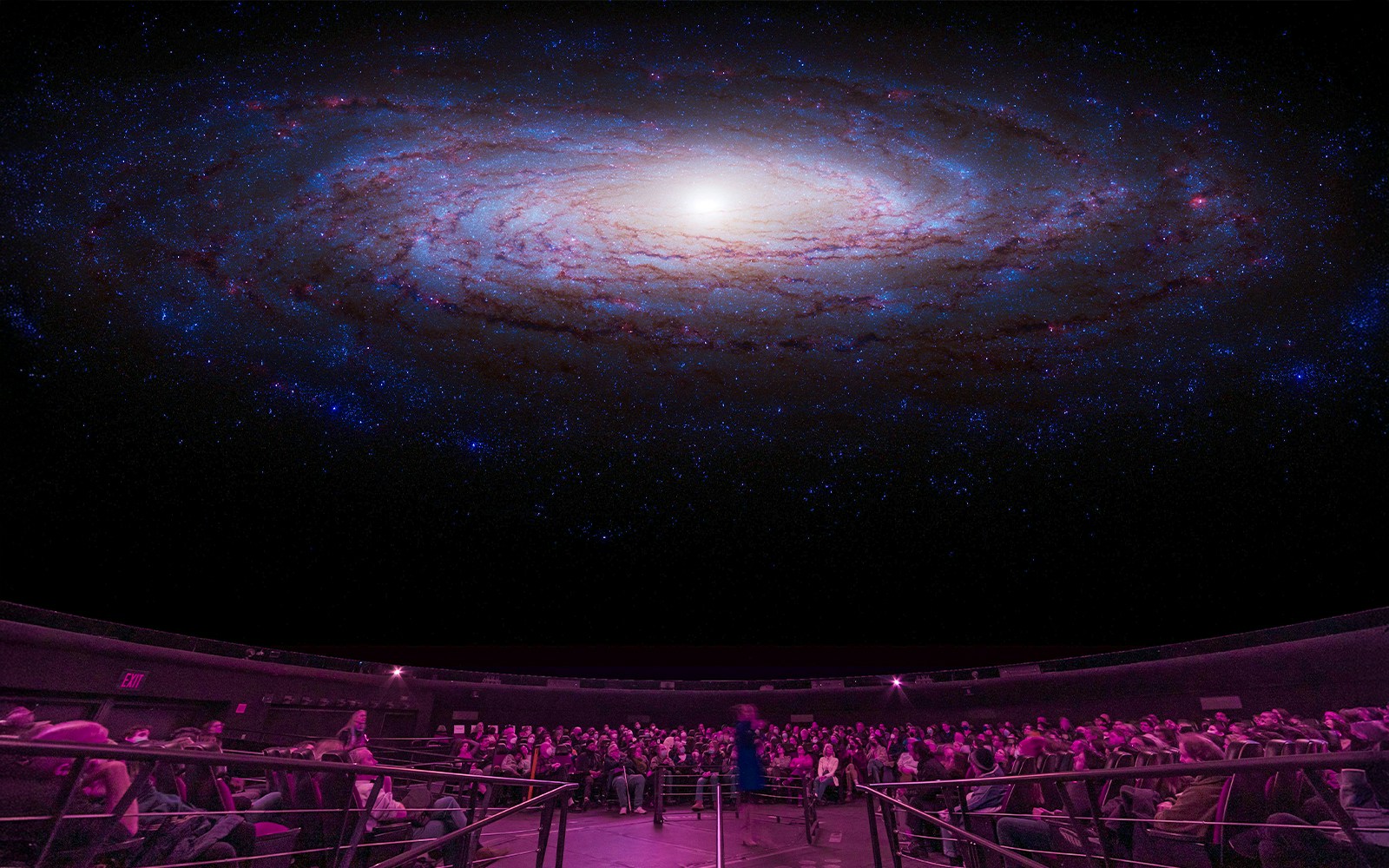 Hayden Planetarium Space Show with stars and galaxies in Passport to the Universe exhibit.