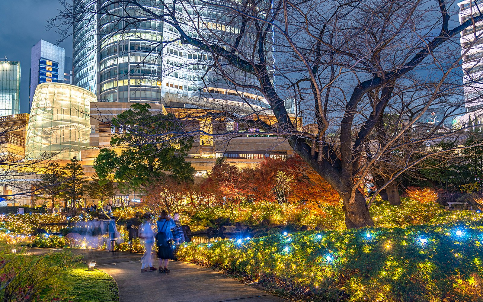Mohri Garden illuminated at night with city buildings in the background, Tokyo.