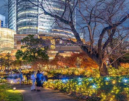 Mohri Garden at night in Tokyo
