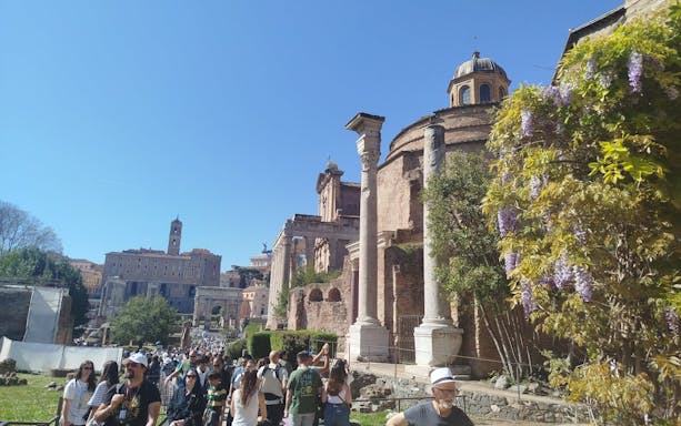 colosseum with arena entrance, forum and palatine hill guided tour-2