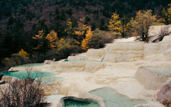 Huanglong National Park's terraced travertine pools with forest backdrop, Chengdu.