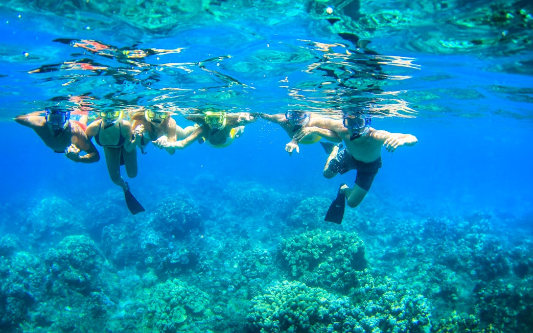 Snorkelers exploring coral reefs on a luxury sail tour in Maui, Hawaii.