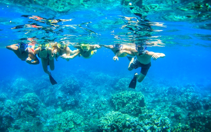 Snorkelers exploring coral reefs on a luxury sail tour in Maui, Hawaii.