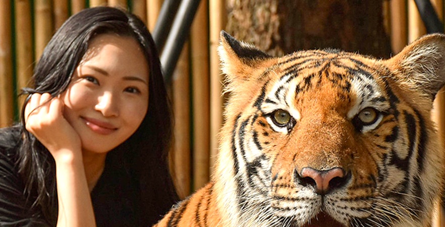 Biglietti per il Tiger Kingdom