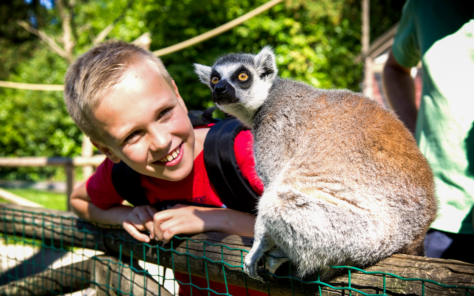 enfants interagissant avec des lémuriens dans la section de la savane du parc Bellewaerde