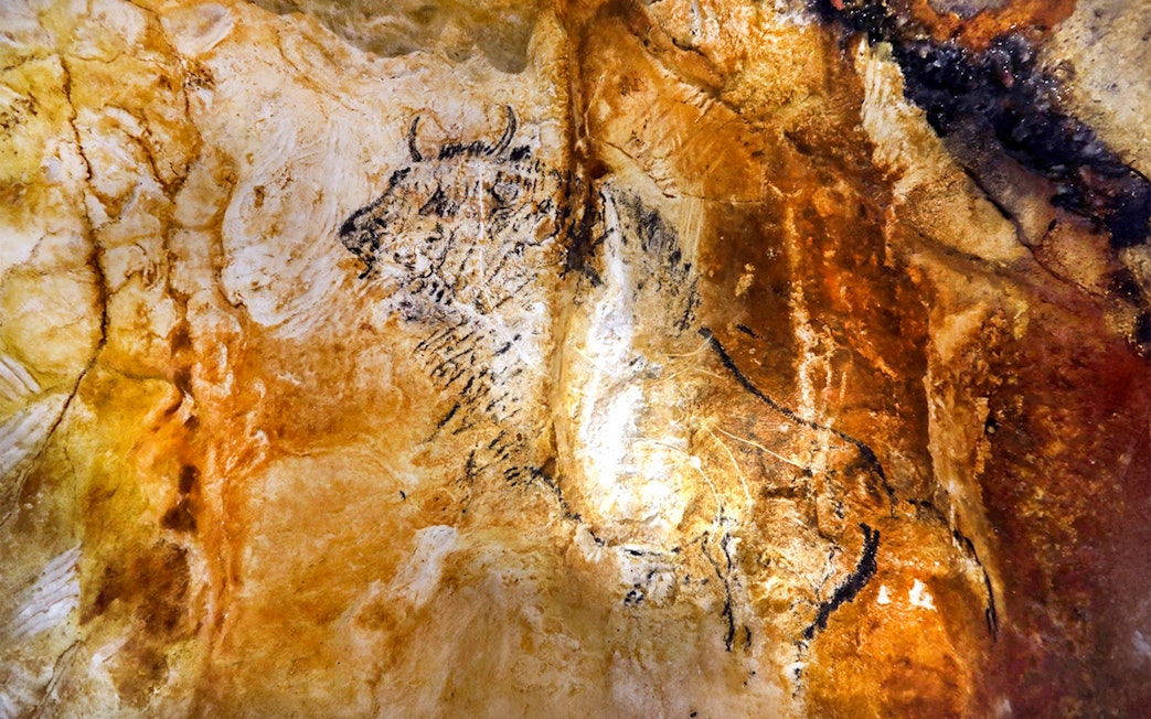 Ancient animal cave painting in Cosquer Cave, Marseille.