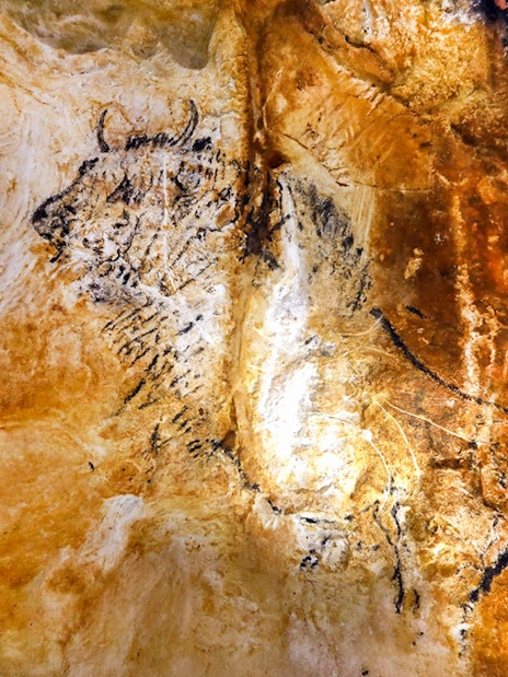 Ancient animal cave painting in Cosquer Cave, Marseille.